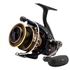 Daiwa BG2500 BG Saltwater Spinning Reel, 2500, 5.6: 1 Gear Ratio, 6+1 Bearings, 33.20 Retrieve Rate, 13.20 lb Max Drag,Black/gold