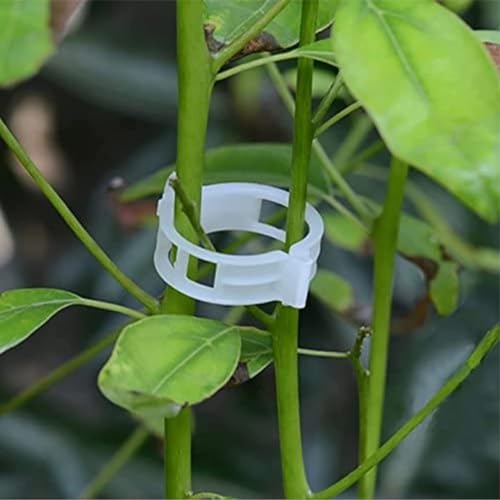 Image of Plant Support Clip | plant climbing wall clips | creeper wall holder | money plant clips for wall support | clips for plants support on wall (Pack of 50 Pcs, Plastic)