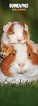 Guinea Pig 2026 Slim Calendar