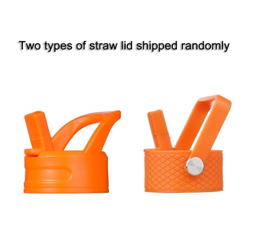 Image of BJPKPK Insulated Water Bottle, 15oz Stainless Steel with Straw Lid