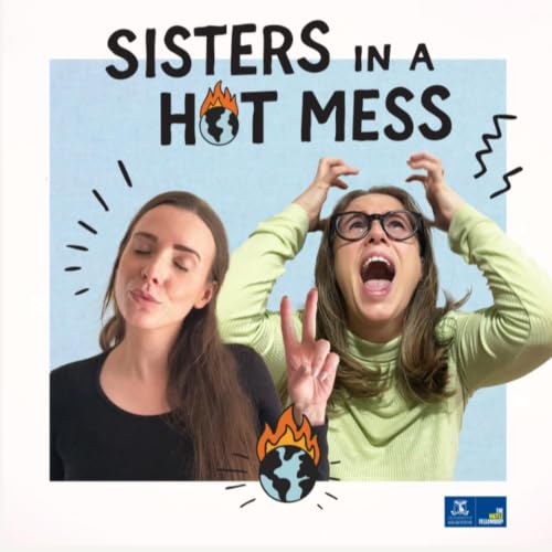 Couverture de Sisters in a Hot Mess