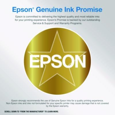 Epson T6067 - vue 10