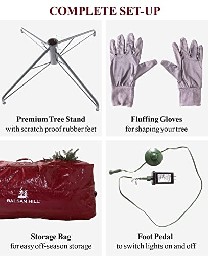 Balsam Hill 7Ft Prelit Clear Led String Lights Classic Blue Spruce Artificial Christmas Tree thumb #7