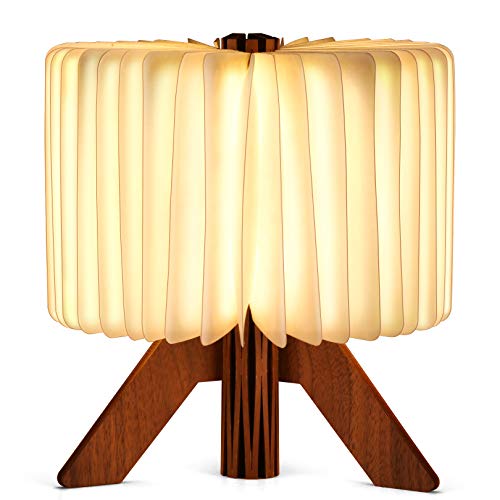 Saillnovo Lampara Libro LED, 2 Colores Cambian LED luz Lectura Lámpara de Mesita de Noche, Lámpara de Mesa Decorativa Plegable, Lámpara de Noche con Luz en Forma de R de Libro Recargable por USB