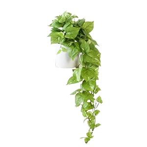 Retrograde 32 Realistic Fake Pothos Ivy Plant for Home Decor Indoor Silk Artificial Plant Large Light Green