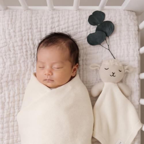 Image of Baby Gift Set - Organic Cotton Newborn Blanket Essentials, Thoughtful Baby Shower & New Baby Gift for Boys & Girls (Lovey - Sheep - Cream)