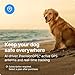 Halo Collar 3, Multifunctional GPS Wireless Dog Fence & Dog Training Collar with GPS Tracker, Subscription Required, Waterproof, Graphite (Medium/Large)