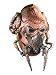 Rubie's Men's Star Wars Deluxe Adult Latex Plo Koon Mask, Multicolor, One Size