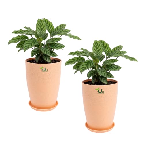 Image of Urban Upvan Beige 14 inch Tower Planter Pot with Tray | Large Indoor Outdoor Decorative Flower Pots for Home, Balcony & Garden (Pack of 2)