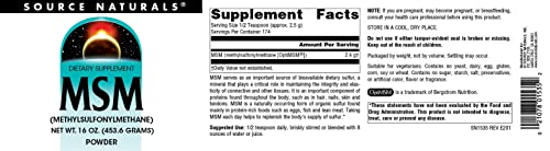 Source Naturals Msm (Methylsulfonylmethane), Powder 16 Ounce #TOP3