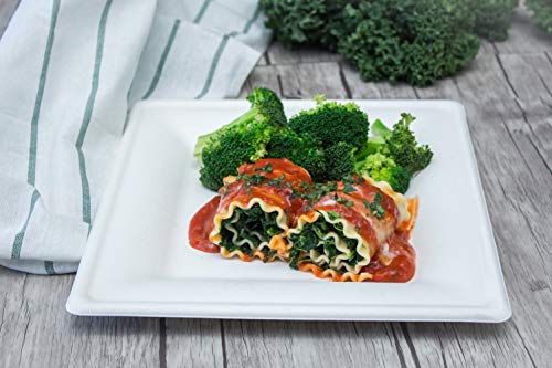 Select Settings Premium Single-Use Dinnerware [100 Count] Compostable Eco-Friendly Square Plates 50 Dinner Plates And 50 Dessert Plates Made From Bagasse (Sugarcane) #TOP4