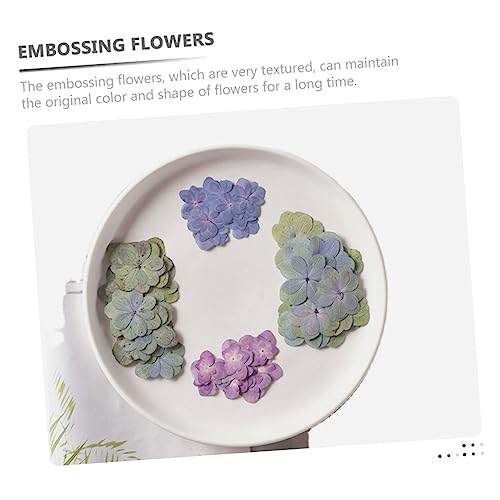 30 pétalos de flor hortensia prensada multicolor para DIY miniatura 3