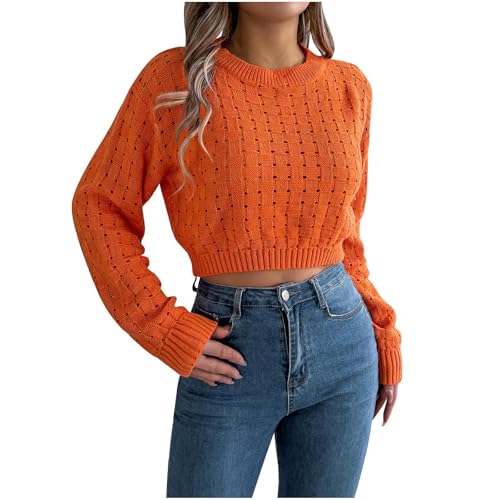 Akklian Y2k Teen Girl Crop Tops Hollow Out Sweaters for Women Crewneck Long Sleeve Pullover Tops Lightweight Tunic Sweater
