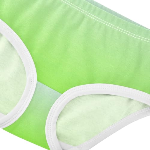 Joisal Elegant Blue Lawn Green Gradient Toddler Girls Underwear 2t Cotton Little Girl Panties Personalized Undies Kids Briefs4