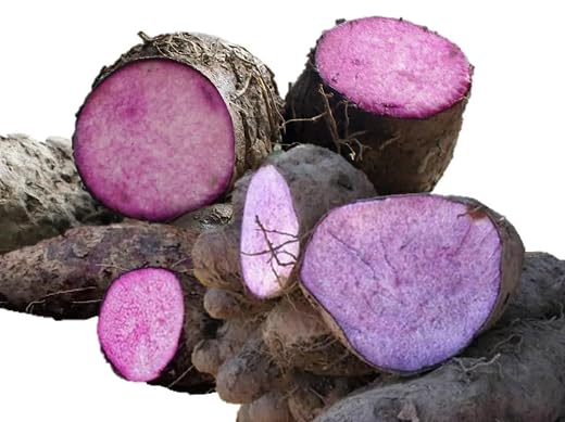 40 graines de légumes Dioscorea Alata : Amazon.fr: Jardin