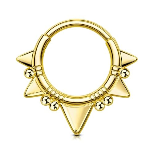 OUFER 16G Daith Hoop Earrings, 316L Surgical Steel Septum Rings, Hinged Clicker Septum Jewelry, Daith Cartilage Helix Tragus Nose Piercing Jewelry-Silver/Gold