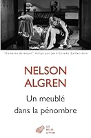 Un Meuble Dans La Penombre (French Edition) 2251457127 Book Cover