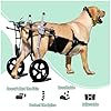 Yinian 2 Ruote Sedia a Rotelle per Cane Carrello per Disabili Scooter per Animali Domestici Carrello per Cani Disabili con Ruote per Riabilitazione di Gambe di Animali Disabili(Size:XL（20-30kg）)