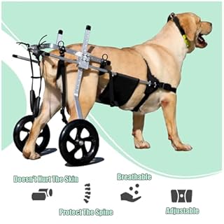 Yinian 2 Ruote Sedia a Rotelle per Cane Carrello per Disabili Scooter per Animali Domestici Carrello per Cani Disabili con Ruote per Riabilitazione di Gambe di Animali Disabili(Size:XL（20-30kg）)
