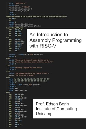 An Introduction to Assembly Programming with RISC-V