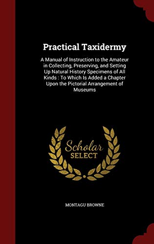 Practical Taxidermy: A Manual of Instruction to... 1297504534 Book Cover
