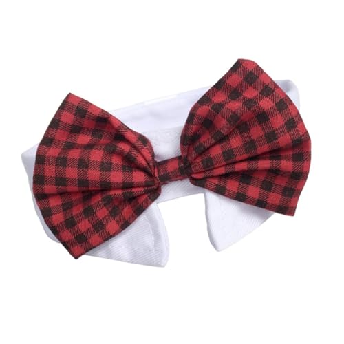 Generic ybgplN^C ȑf ߉\ ֈ̌^ Lp  ANZT[AKȑ p[eB[ Cxg