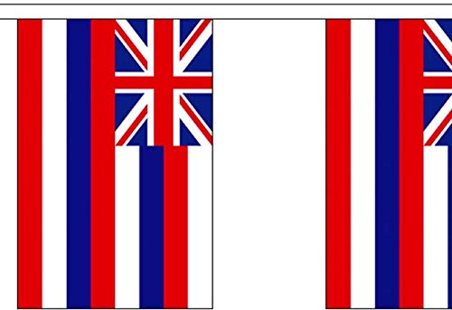 Hawaii Bunting - USA State America - 9 Metre Bunting - Polyester - 30 Flags Per 9M Length - FlagSuperstore