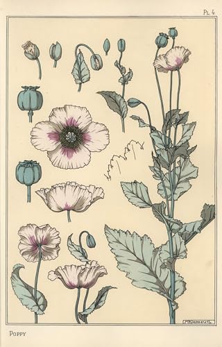 Impression d'affiches Eugène Grasset et décoration murale toile fleur 60x90