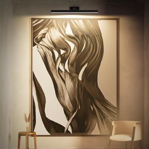 Image of Picture Lights for Wall, Battery Operated Picture Light 24in Gallery Light | For Paintings CCT Dimmable Recharging Battery Wall Light Remote Control Timing Living Room Gallery Dartboard 2PCS