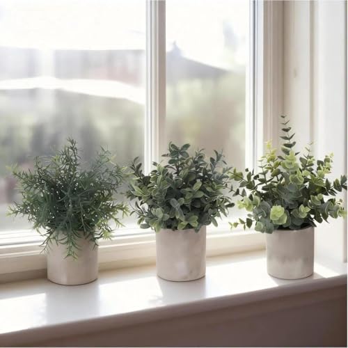 ilauke 3 Mini Plantas Artificiales Decorativas en Maceta de Eucalipto de Plástico, Plantas de Romero Sintético para Hogar, Jardín, Oficina, Balcón, Ventana, Escritorio, Decoración de Habitación - imagen 3