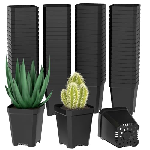 100 PCS Kunststoff Anzuchttöpfe Eckig 5.5 CM, Anzuchttöpfe Klein Plastik mit Ablauflöchern, Pflanztöpfe Anzucht, Kleine Blumentöpfe Anzuchttopf für Stecklinge, Umpflanzen, Gemüse, Sukkulenten