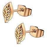 Stainless Steel Tiny Nature Leaf Stud Post Earrings