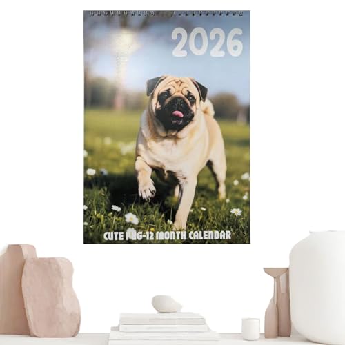 J_[ 2026 NX}X Aj} }X[ vi[ ̕ǂƑJ_[ XPW[AToDoAAƂ̑A|[`AArO[AAItBXAaAƑp