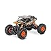 DEORBOB Fuoristrada Multi-scena Auto telecomandate Camion fuoristrada RC Monster RC Camion Sabbia Fango Pietra Robusta Strada di montagna 4WD Pendenza 45° Arrampicata Efficiente Shock Toy Regali di Ha