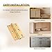 Solid Brass Butt Hinges Cabinet Door Hinges with Screws Heavy Duty Bifold Hinge for Jewelry Box, Furniture, Cupboard, Wood Crafts & Toolbox Golden Polishing Mini Folding Hinge (2.5 inch)