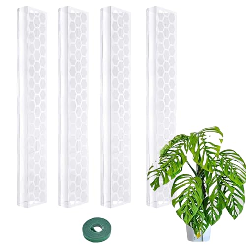 Soporte de Moss – Planta trepadora, Caja Interior | Tótem apilable para Plantas, Barra de Soporte Flexible, Utilizado para Monstera Deliciosa, Soporte filodendro para trepar en macetas
