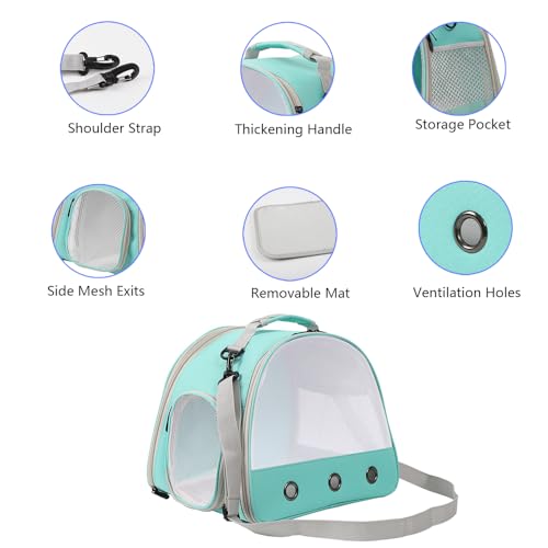 Small-Animal-Carrier-Bag-Bearded-Dragon-Carrier-with-Nylon-Mesh-Window-Guinea-Pig-Travel-Carriers-for-Hedgehog-Rat-Parrot-Bird-Lizard-Pet-Rat-Hamster-Green