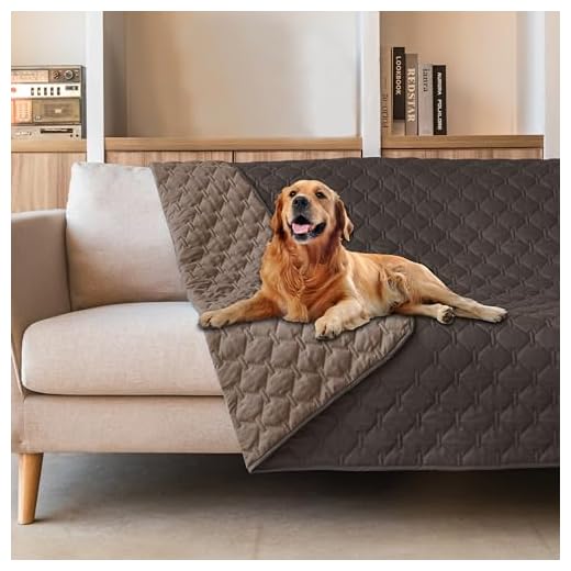 gogobunny Waterproof Dog Blanket