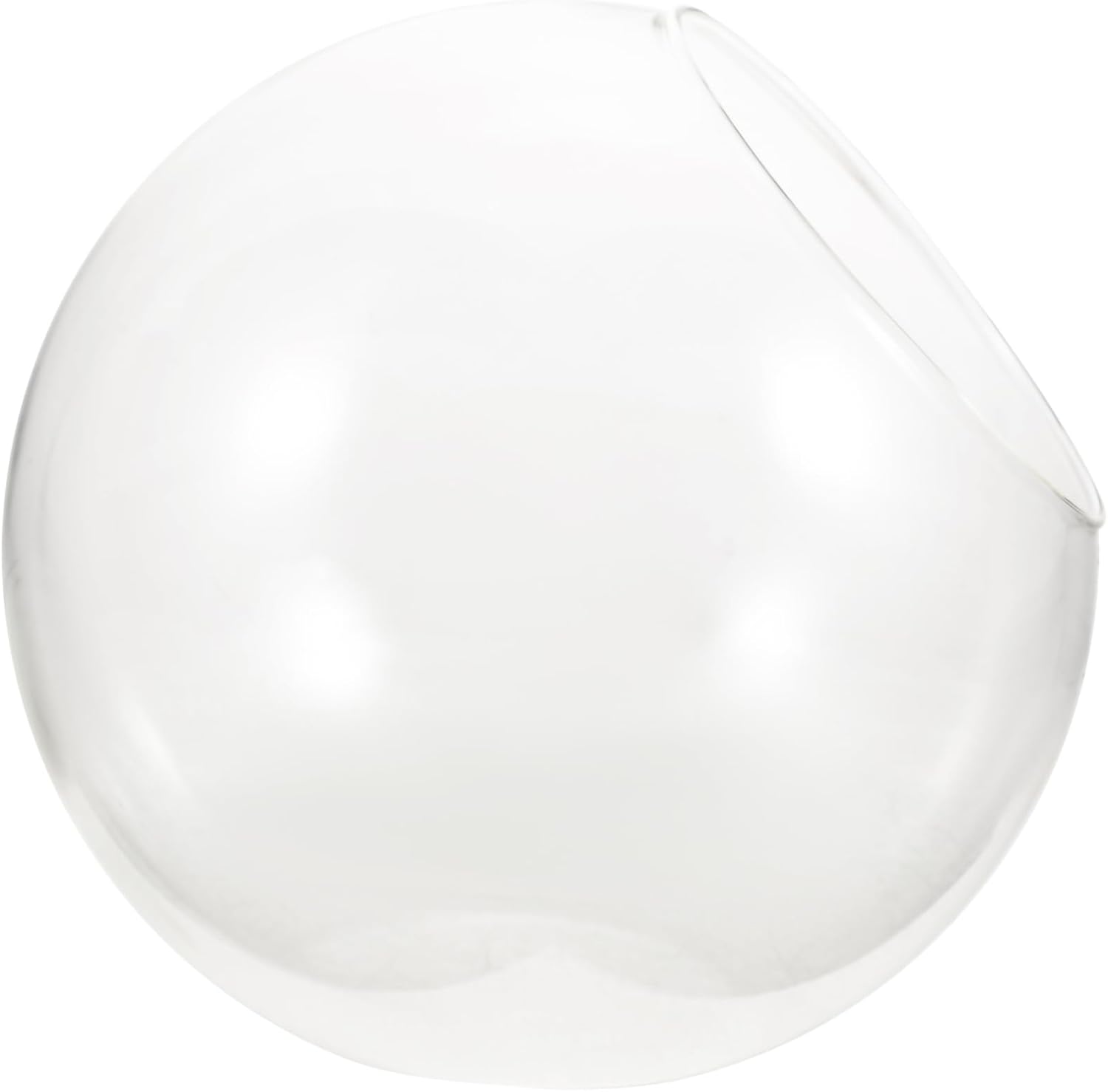 BESPORTBLE Glass Terrarium Bottle High Transparency DIY Moss Plant Container for Succulents Air Plants Elegant Tabletop Display for Home Decoration Micro Landscape Vase