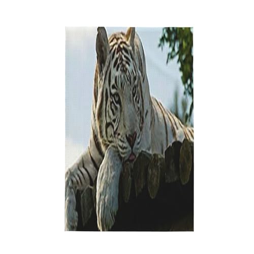 btLb`^I̓}CNt@Co[ŁAzEERېɗDĂ܂iAj^CK[zCg^CK[Ebhplj