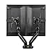immagine 3NB F160 - Supporto da scrivania con doppio braccio, braccio per due monitor 2x 43cm-69 cm / 17