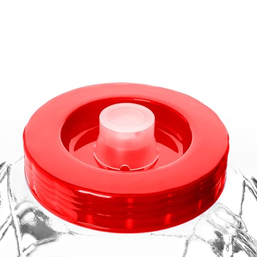 KADAX Grand Bocal de Fermentation en Verre avec Couvercle, Contenant Spacieux pour la Préservation des Aliments et Le Stockage du Vin (18L) – vue 6