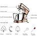 Kitchen Stand Mixer, 6.5 Quart, 6 Speed Tilt-Head Kitchen Mixer, Electric Food Mixer with Dough Hook, Wire Whip, Beater, Gold