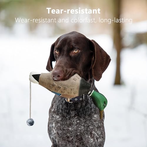 WideSmart Hundetrainings-Entenschnuller, Hunde- und Feldwelpentraining-Schnuller, Hundetrainingsspielzeug, Vogelschnuller Stockente, imitiert Ente, Stoßstangen-Spielzeug für Welpen oder erwachsene