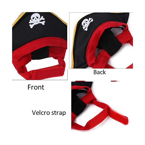 Anelekor pet dog halloween costume cat pumpkin hat and spider bandana set halloween cat apparel with glasses funny pet clothes for small dogs kitten kitty - image 5