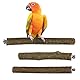 3 Sitzstangen für Papageien, Haselnuss, Befestigung aus Edelstahl, Vogel Zubehör, Durchmesser 2,5-3,5cm