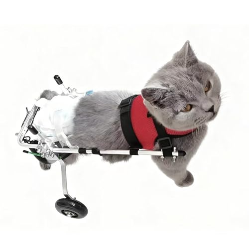 Cat Wheelchair, Adjustable Pet Mobility Cart, Aluminum Two-Wheel Rear Leg Support for Disabled/Paralyzed Cats, Shock-Absorbing Wheels, Breathable Harness(3-6 Months)