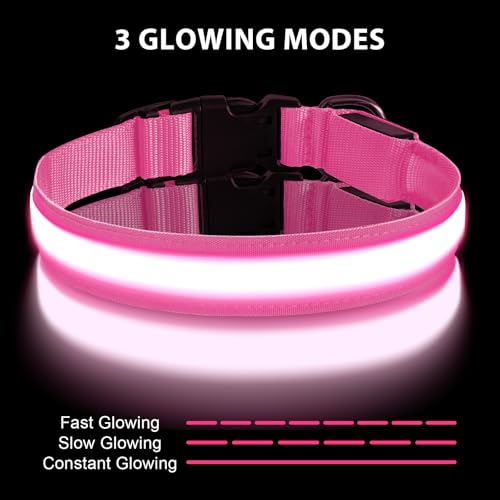 AUAUY Light Up Dog Collar, Type-C Port Charging LED Dog Collar Light - Image 4