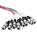 Seismic Audio Speakers 8 Channel XLR Snake Cables, Pro Audio Snake Cables, 10 Foot, Multiple Colored Coded Cables