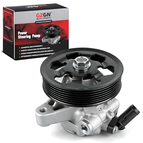 Power Steering Pump 21-5419 with Pulley Compatible with Honda CR-V 2002 2005-2011 Accord 2006-2007 Element 2006-2011 Acura RDX 2007-2012 TSX 2006-2008 Replace# 965419 56110PZDA02